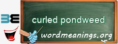 WordMeaning blackboard for curled pondweed